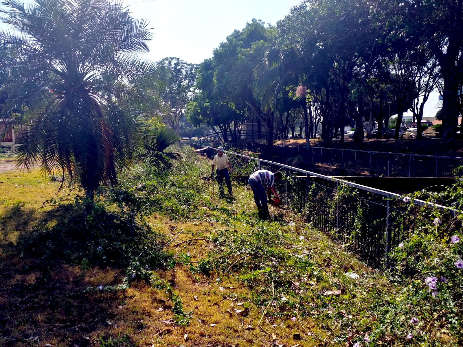 Administração está realizando a limpeza interna do Lago Artificial.