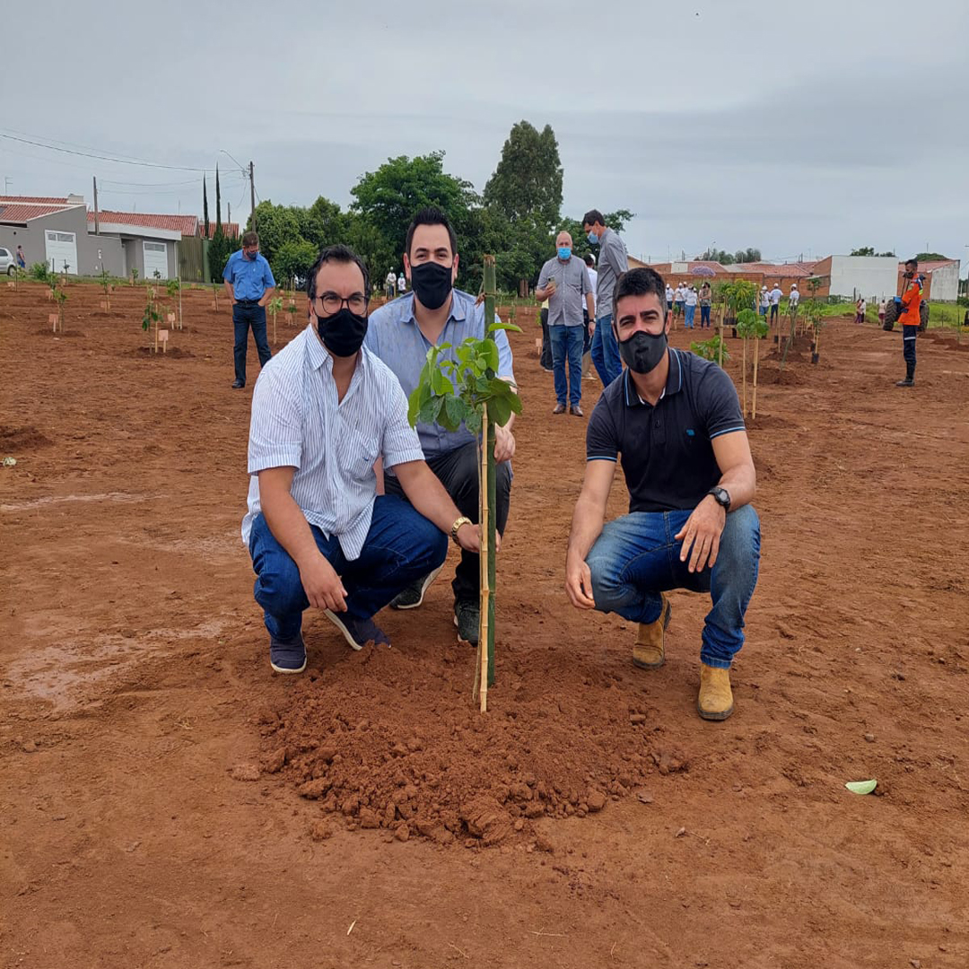 174 ipês brancos foram plantados no Jardim Mariana em homenagem as vítimas da Covid-19 em Batatais.