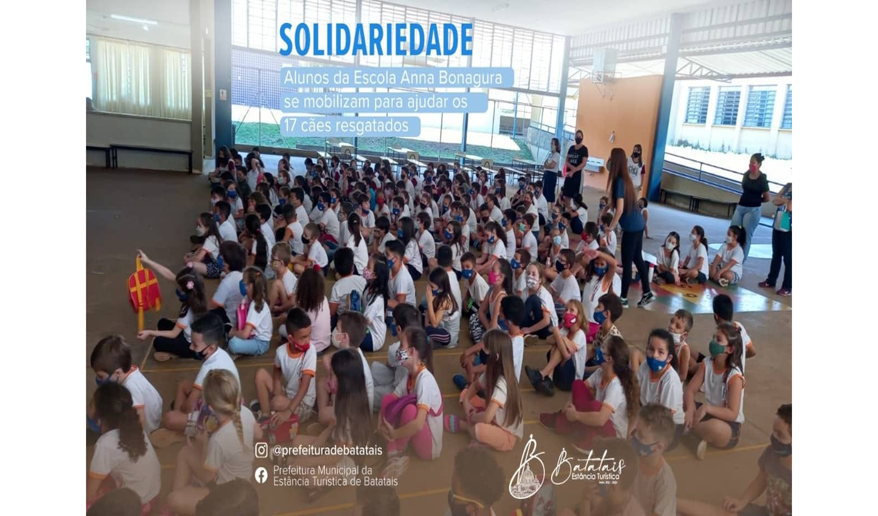 Alunos da Escola Anna Bonagura se mobilizam para ajudar os 17 cães resgatados.