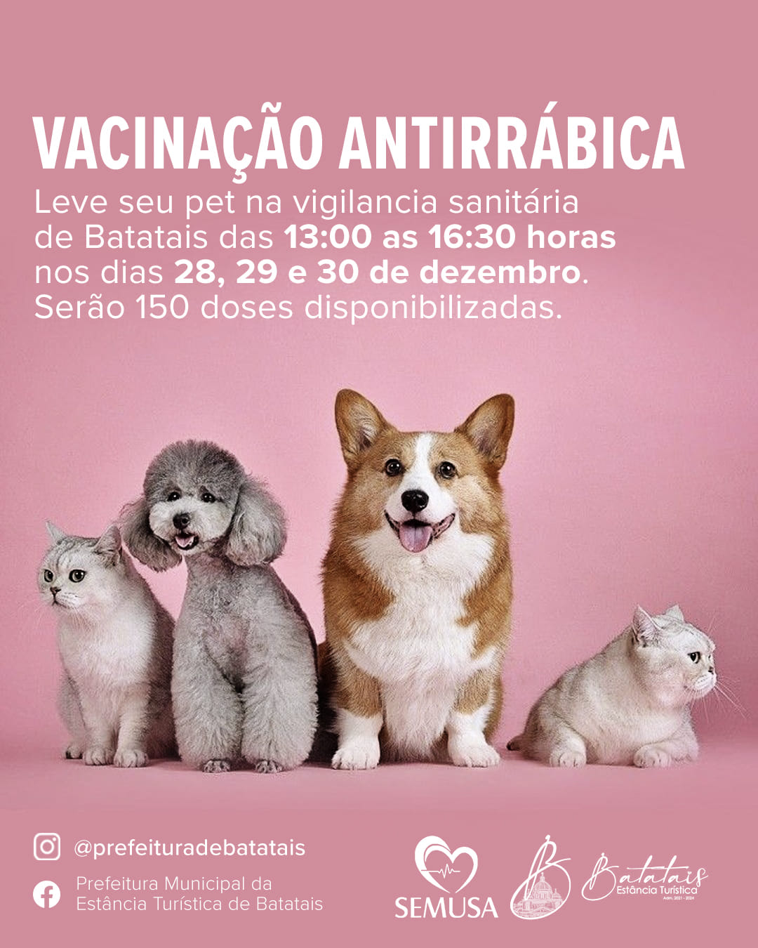 Atenção para Vacinação Antirrábica para cães e gatos.