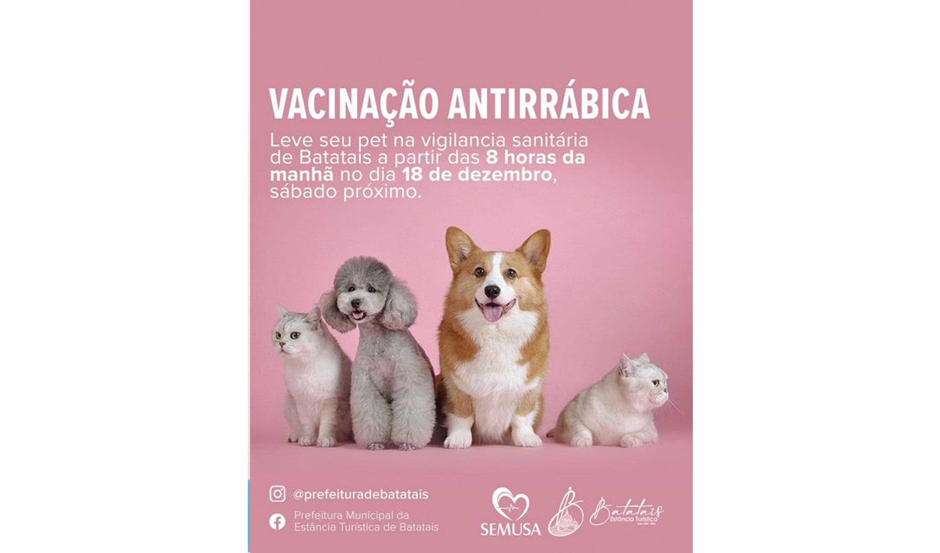 Atenção para Vacinação Antirrábica para cães e gatos