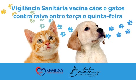 O calendário de vacinação contra raiva animal.