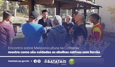 Encontro sobre Meliponicultura na Comarev mostra como são cuidadas as abelhas nativas sem ferrão