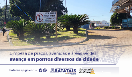 Limpeza de praças, avenidas e áreas verdes avança em pontos diversos da cidade