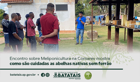 Encontro sobre Meliponicultura na Comarev mostra como são cuidadas as abelhas nativas sem ferrão