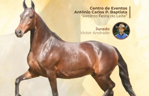 Batatais recebe a 3ª Exposição de Inéditos do Cavalo Mangalarga Marchador